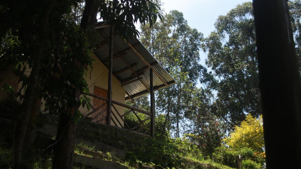 Amasiko Homestay Lake Bunyonyi Kabale Екстер'єр фото