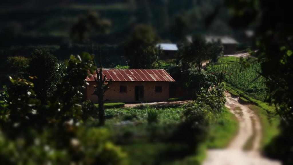 Amasiko Homestay Lake Bunyonyi Kabale Екстер'єр фото